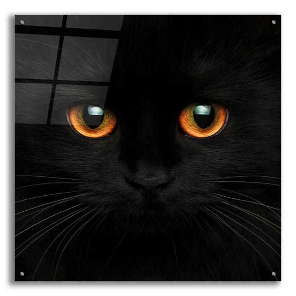 Epic Art 'Hunter' by Epic Portfolio Acrylic Glass Wall Art, 36"x36"