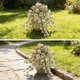 thumbnail image 5 of Tijeras de podar resistentes para jardín | Corta y da forma a plantas, arbustos y ramas | Herramienta de jardinería exterior para el mantenimiento de arbustos, árboles y flores, 5 of 6