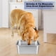 thumbnail image 2 of Plato para Perro de Acero Inoxidable 4.7 Litros Gran Capacidad para Perros Medianos y Grandes, 2 of 7