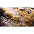 thumbnail image 3 of Gamers Grass Dry Tuft 6mm Small Tufts, 3 of 3