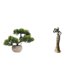 thumbnail image 1 of Árbol bonsái artificial,Bonsái artificial para decoración de escritorio o interior,Figura de escritorio,Figuras africanas de arte,artesanías,escritorio coleccionable,Estatua de mujer, 1 of 8