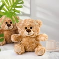 thumbnail image 5 of LotFancy 5 Pack 10 in Bulk Shaggy Plush Bear, Teddy Bear Stuffed Animal, Gifts for Kids, Girls, Boys, 5 of 7