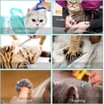 thumbnail image 3 of Cat Washing Bag Set with Grooming Tools, Adjustable Pet Bathing Net for Safe Trimming and Cleaning, 3 of 6