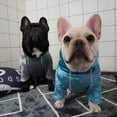 thumbnail image 3 of Fashionable and Cozy Coral Fleece Dog Hoodie for Warmth in Winter – Your Pet's Stylish Comfort, 3 of 8