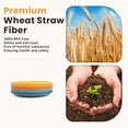 thumbnail image 6 of Homienly Wheat Straw Small Plates, 8-Pack 5.7 inch, Unbreakable, Microwave & Dishwasher Safe, Plastic Plates and Plate Set for Dessert, Salad, Appetizers, Kitchen and Party, Colorful, 6 of 9
