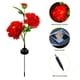 thumbnail image 2 of Lámpara De Césped De Peonía Lámpara de enchufe de tierra de peonía solar decoración del hogar 600 mAh para camino de patio trasero (1 pieza roja) Wdftyju  Para estrenar, 2 of 3