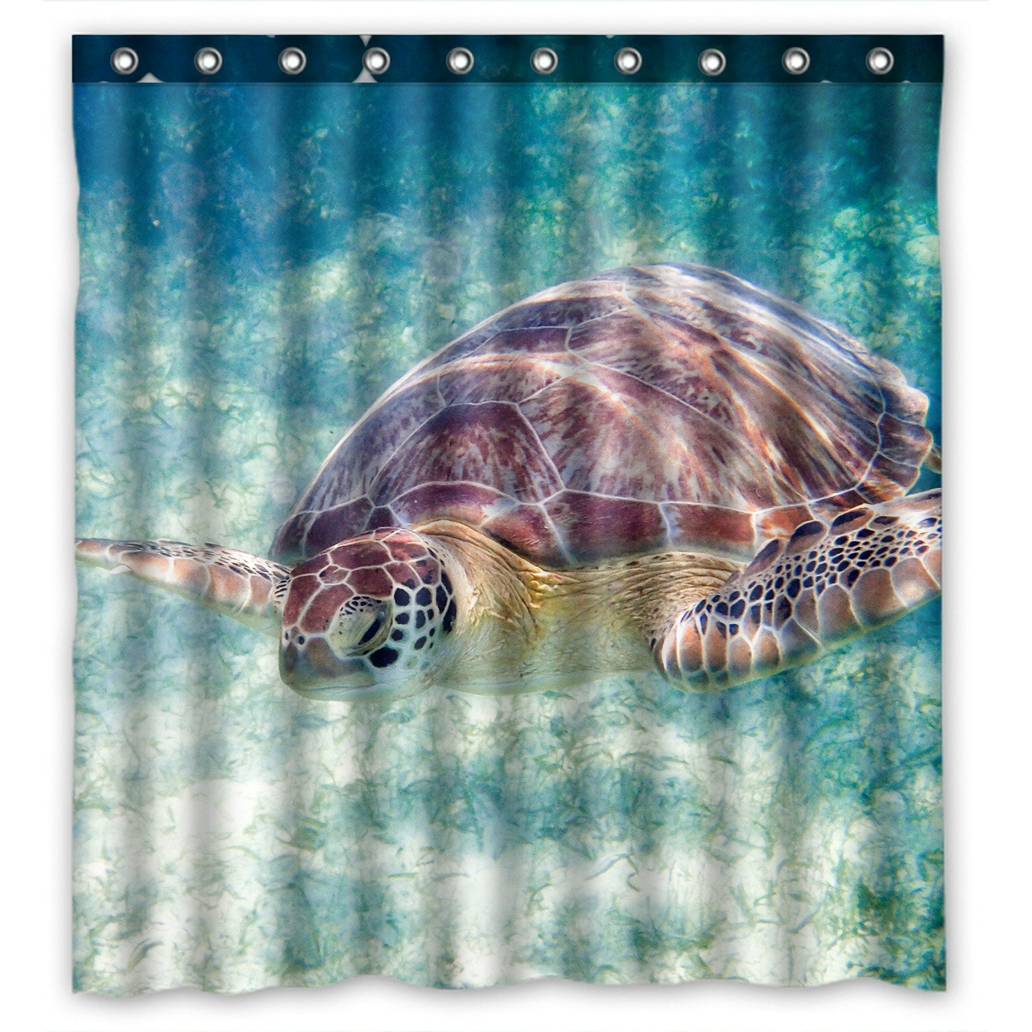 PHFZK Animal Shower Curtain, Sea Turtle on a Beach in the Riviera Maya