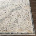 thumbnail image 4 of Hauteloom Wadeye Living Room, Bedroom Area Rug - Traditional - Gray, Blue - 2' x 3', 4 of 17