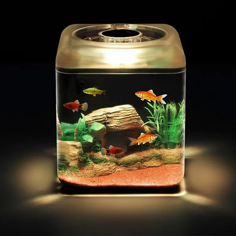 Fish Breeding Box Aquarium Breeding Isolation Box Acrylic Transparent Fish Tank Acclimation Separator for Aquarium Fish Spawning Hatching Maternity ... Fish Breeding Box Aquarium Breeding Isolation Box Acrylic Transparent Fish Tank Acclimation Separator for Aquarium Fish Spawning Hatching Maternity ...