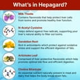 thumbnail image 5 of Hepagard - Natural Liver Support Supplement with N-Acetyl Cysteine (NAC) - Non-GMO, Gluten-Free, 5 of 10