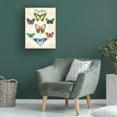thumbnail image 4 of Canvas Wall Art - Jean Plout 'Beautiful Papillon Study B' Wall Art for Living Room, Bedroom, or Office Décor by Trademark Fine Art - 14 x 19 Inches, 4 of 4