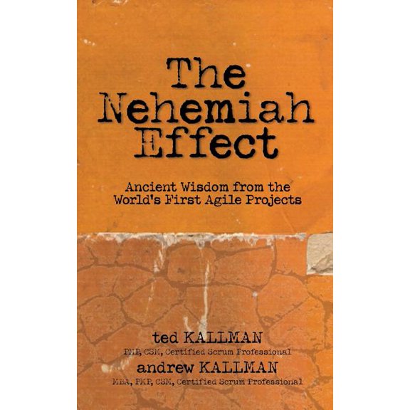 The Nehemiah Effect, (Paperback)