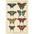 thumbnail image 2 of Unknown 17x24 White Modern Wood Framed Museum Art Print Titled - Histoire Naturelle Butterflies VI, 2 of 4