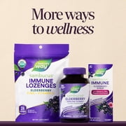 Natures Way Sambucus Elderberry Immune Gummies, with Vitamins C, D3, Zinc, Unisex, 60 Count