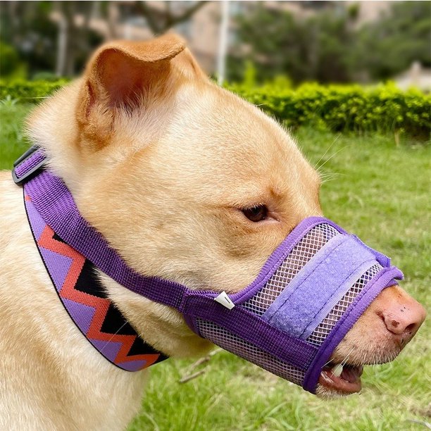 Bozal de Perro de hocico Corto YONGSHENG bozal de bulldog ajustable negro