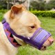 thumbnail image 1 of Bozal de Perro de hocico Corto YONGSHENG bozal de bulldog ajustable negro, 1 of 5