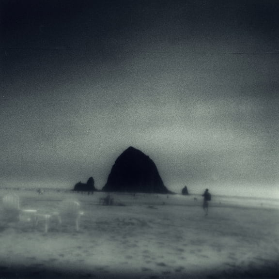 Drowse - Wane Into It - Music & Performance - Vinyl