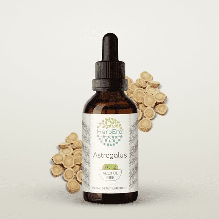 HerbEra Astragalus Tincture, Herbal Dietary Supplement for Immune Support, Astragalus (Astragalus membranaceus) Dried Root Extract, Natural, Alcohol-Free, Drops 2 oz
