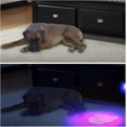 thumbnail image 4 of UV Blacklight Flashlight with 100 LED Blacklight Pet Urine Detector, 4 of 4