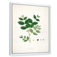 thumbnail image 3 of Designart 'Ancient Botanicals VI' Farmhouse Framed Canvas Wall Art Print, 3 of 5