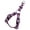 Purple, variant on Country Brook Petz® Busy Bee Step-In Dog Harness, Small