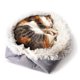thumbnail image 4 of Cama para perro a la moda, perrera, gato pequeño, mascota, cachorro, cama redonda, casa, almohadilla suave y cálida, 4 of 5
