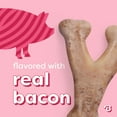 thumbnail image 5 of Benebone Essentials Puppy 2-pack Rubber Bone/Wishbone Bacon Tiny, 5 of 9
