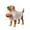 #4, variant on Halloween Decorations, Resin Scarecrow Dog with Lighted LED Collar, Indoor Outdoor Fall Patio Decor, Garden Pathway Accent & Dog Lover Gift