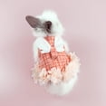 thumbnail image 3 of Opolski Rabbit Clothes with Leash Rope Prevent Break Free Fashion Bunny Guinea Pig Costume Outdoor Harness Pet Supplies, 3 of 8
