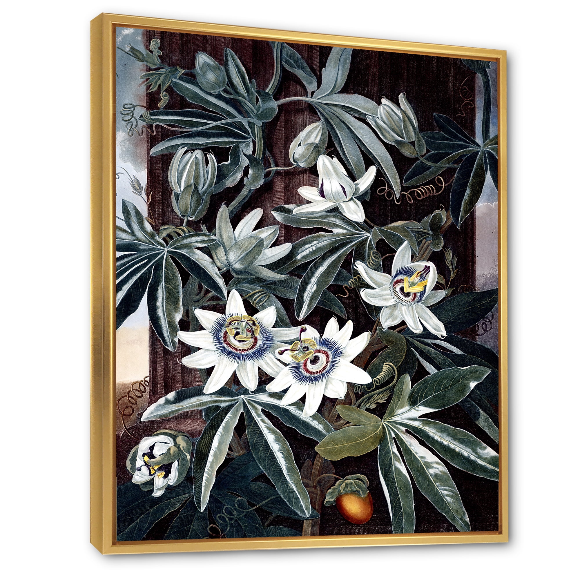 Designart 'Ancient Flowers I' Traditional Framed Canvas Wall Art Print