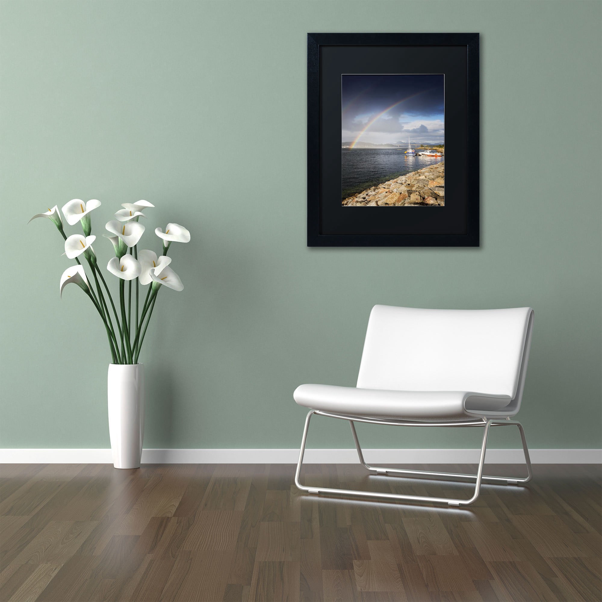Trademark Fine Art "Over the Rainbow" Canvas Art by Philippe Sainte-Laudy, Black Matte, Black Frame