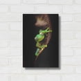 thumbnail image 3 of Luxe Metal Art 'Frog Portrait' by Thomas Haney, Metal Wall Art, 12"x16", 3 of 9