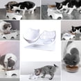 thumbnail image 5 of Plato antivómito para gatos, cuenco de alimentación para mascotas con soporte, adecuado para gatos y cachorros de interior, 5 of 5