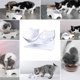 thumbnail image 5 of Plato antivómito para gatos, cuenco de alimentación para mascotas con soporte, adecuado para gatos y cachorros de interior, 5 of 5