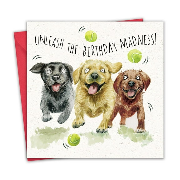 Twizler Funny Dog Birthday Card - Labradors - Humor Dog Happy Birthday Card for Women or Men - Her Him - Female Male - Friend