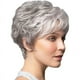 thumbnail image 1 of SGACAI 1x Pelucas para dama Peluca de mujer Pelucas de cabello natural rizadas de color gris plateado corto. Bonitas, 1 of 7