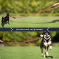 thumbnail image 5 of Dog Leash - Traffic Padded Two Handle - Heavy Duty - Double Handles Lead for Control Safety Training - Leashes for Large Dogs or Medium Dogs - Dual Handles Leads - 180cm, 5 of 5