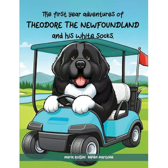 The First Year Adventures Of Theodore The Newfoundland And His White Socks, (Paperback)