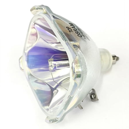 312243871310 Philips Magnavox Projection TV Bulb Replacement