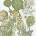 thumbnail image 2 of Carson, Danielle 15x15 White Modern Wood Framed Museum Art Print Titled - Nature I, 2 of 4