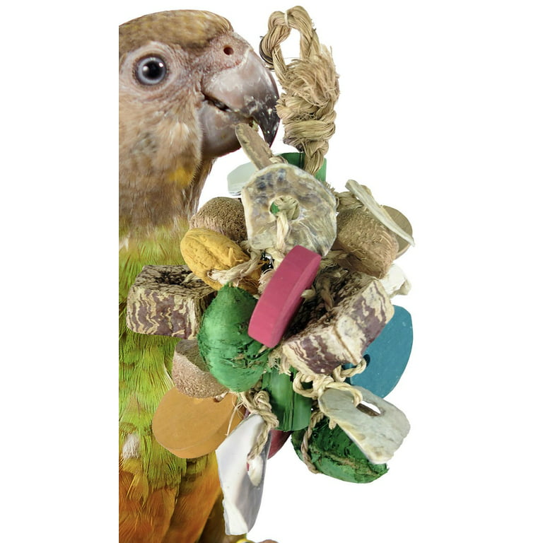 Planet Pleasures All-Natural Bird and Parrot Toys, Perches & Swings