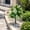 White-WH, variant on MMJ Artificial Gladiolus Topiary Ball Ground Stake Faux Shrub 17.71in Outdoor Garden Porch Summer Decor