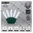thumbnail image 3 of LED Net Lights 100 Count Cool White, 4x6 ft Green Wire, Indoor Outdoor Christmas Decorations for Hedges & Bushes - Steady On, 3 of 7