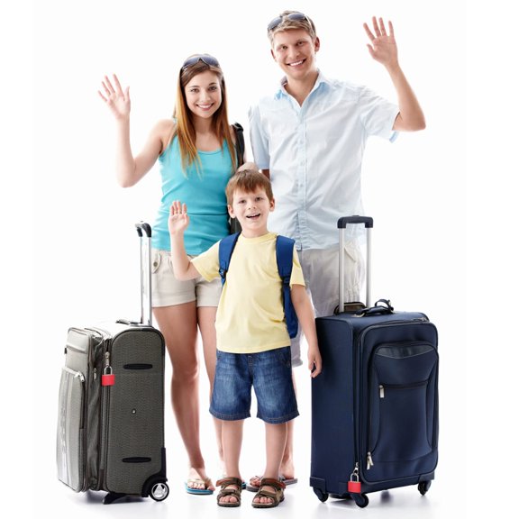 pitrice 4 Pcs Cadenas de Valise en Alliage Résistants aux Intempéries pour Tous Types de Voyages Compacts et Portatifs 1 Ensemble