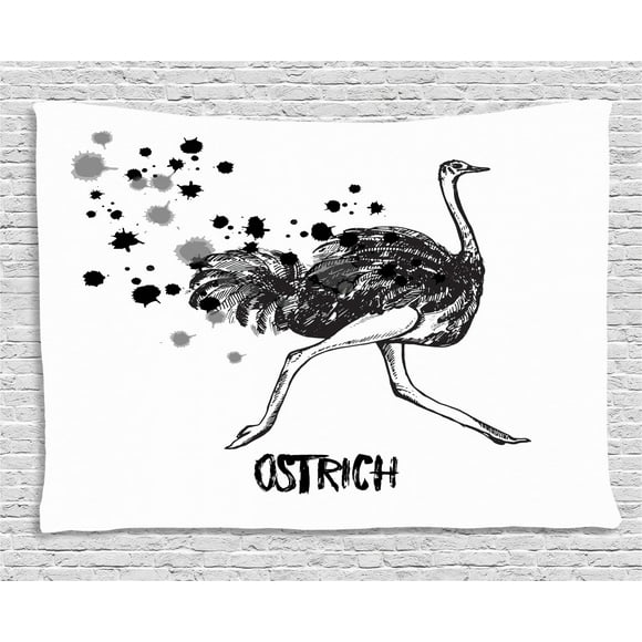 Ostrich Feather Wall