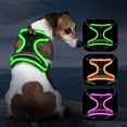 thumbnail image 1 of Chaleco de perro iluminado Vizbrite LED recargable para perros, 1 of 6