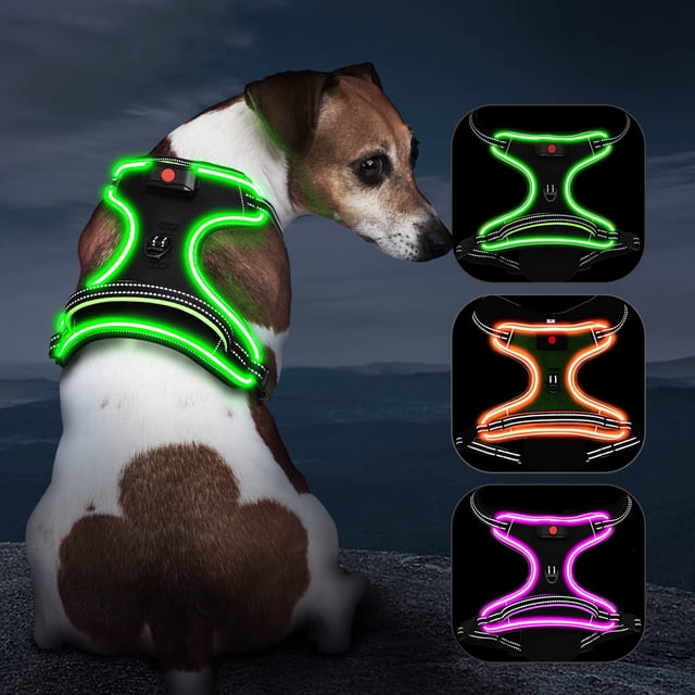 Chaleco de perro iluminado Vizbrite LED recargable para perros
