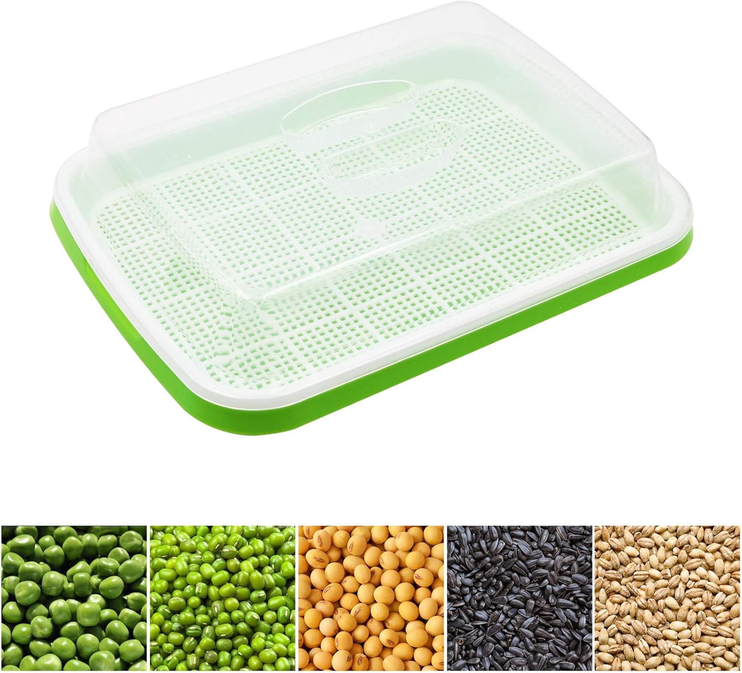 Seed Starter Kit - Seed Sprouter Trays with Clear Lid & Stainless Steel Shelf, Soil-Free Germination Trays for Indoor/Outdoor Microgreens, Wheatgrass Mung Beans Cat Grass & Seedling Growing
