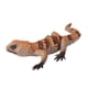 thumbnail image 2 of Figura de lagarto, regalo de cumpleaños, adorno para tarta, manualidades, juguetes de animales en miniatura para niños de 3 años o más. Tipo D, 2 of 9