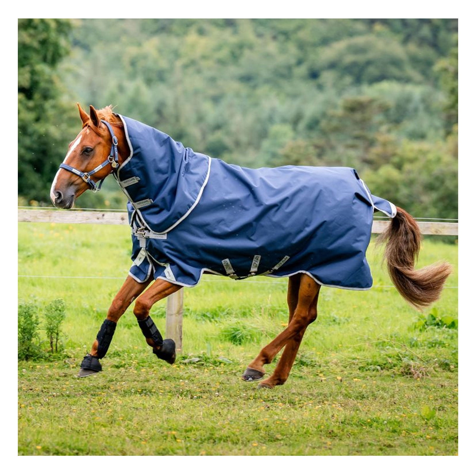 HORSEWARE IRELAND Amigo 1200D Plus Turnout 0g, Color: Navy/Titanium Grey, Size: 78